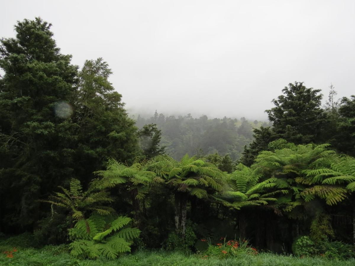 Crown Ridge Miners Cottage Karangahake Eksteriør bilde
