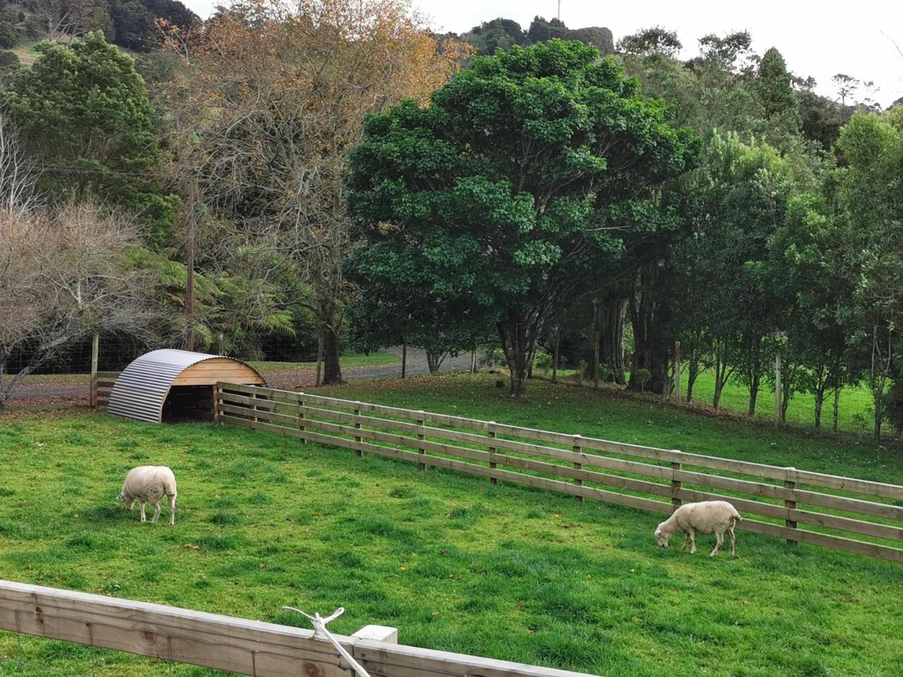 Crown Ridge Miners Cottage Karangahake Eksteriør bilde